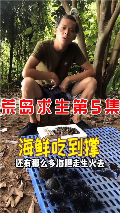 爆料主播荒岛求生视频大全,揭秘主播们的极限挑战与生存智慧