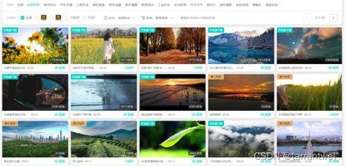 今日短视频爆料素材,今日热门爆料内容大盘点